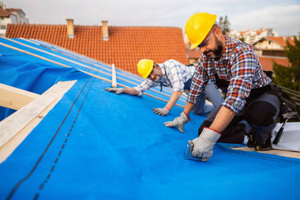 Best Roof Repair  in Canfield, OH